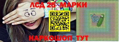 СК Можга