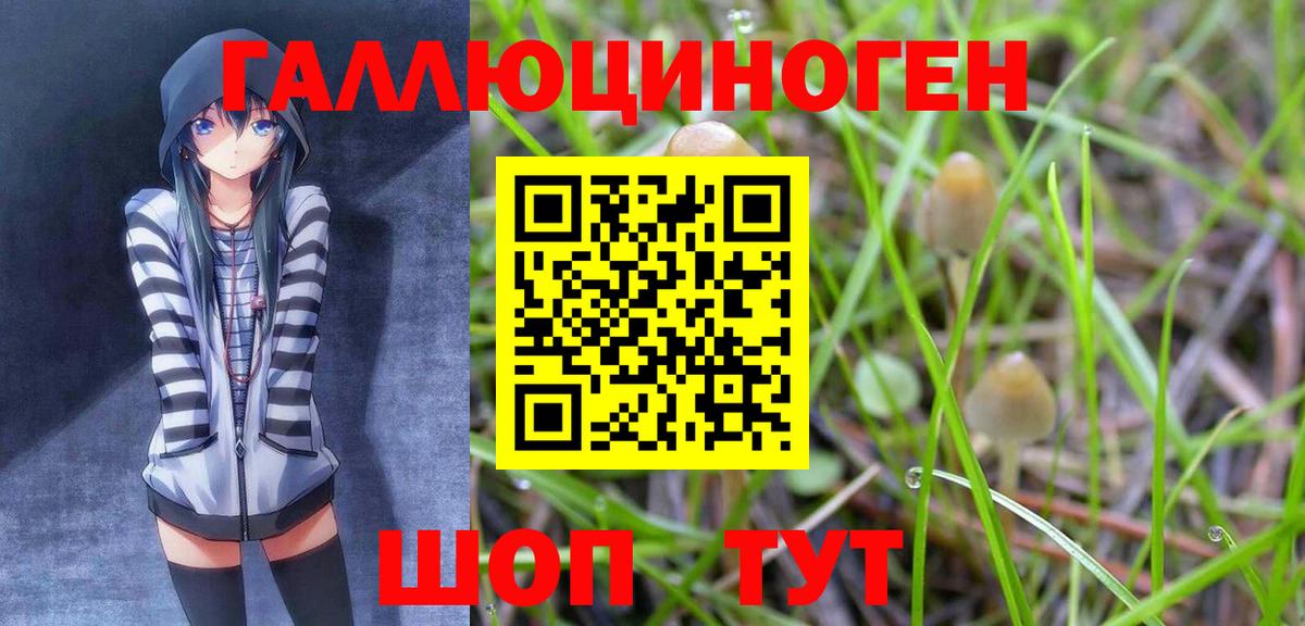 Галлюциногенные грибы мицелий  Вход с VPN  Альметьевск 