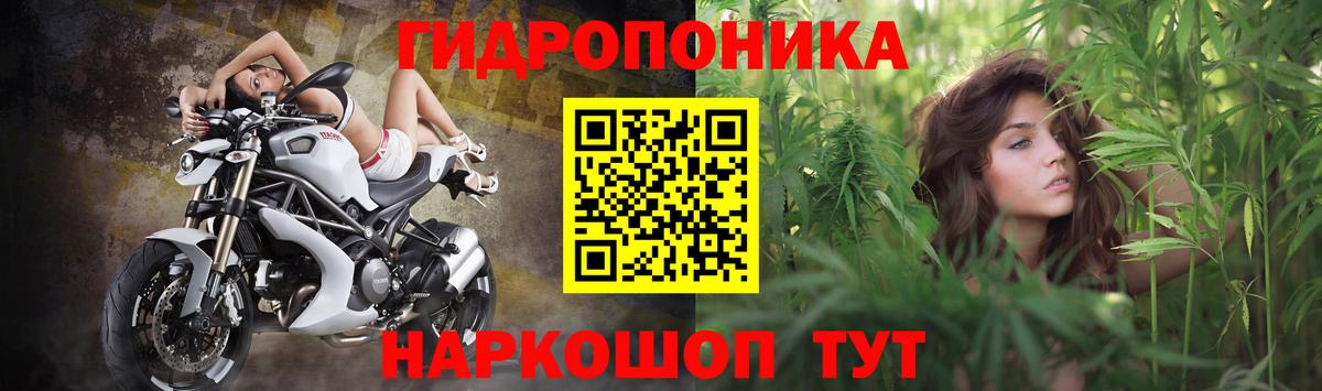 Шишки марихуана White Widow  Каннабис индика  Альметьевск  Вход с VPN  Бошки марихуана семена 